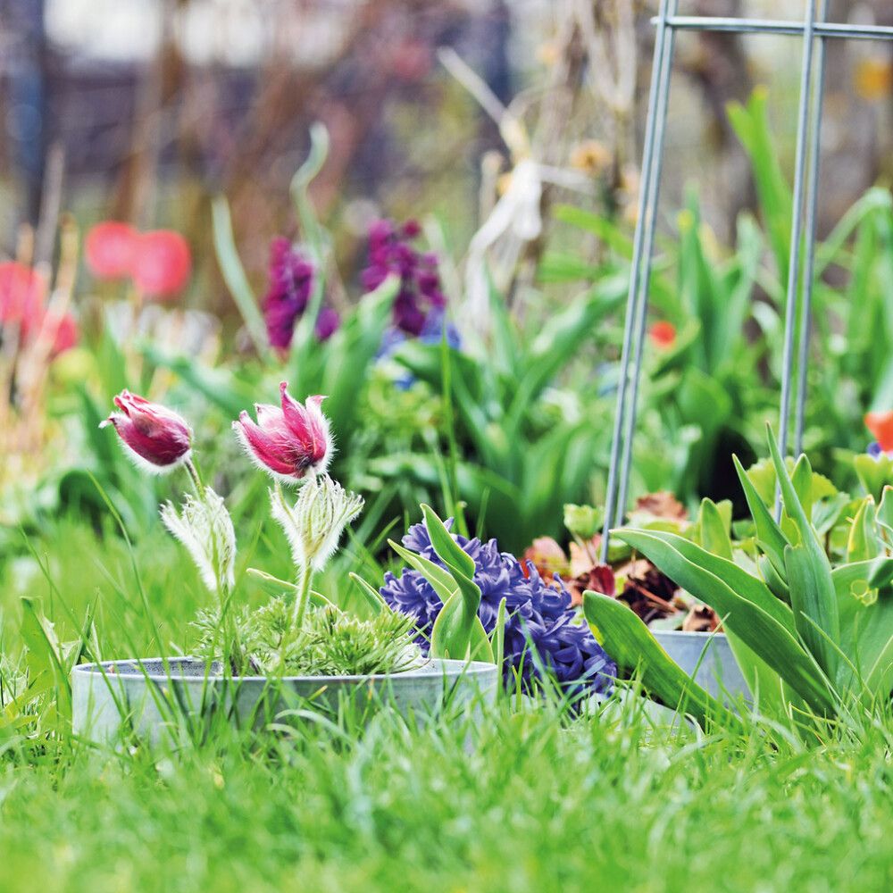 Beðkantur hringur 13cm Ø30cm málmur Bellissa