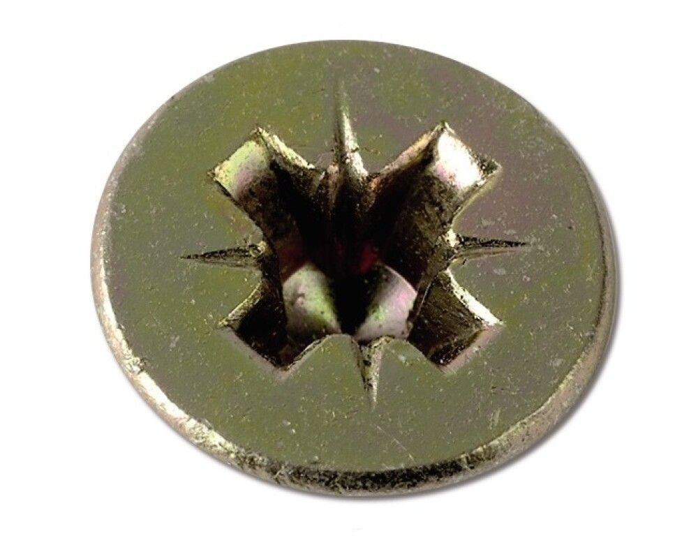 Tréskrúfur TX Ø6x100 mm 100 stk Profi Depot RG