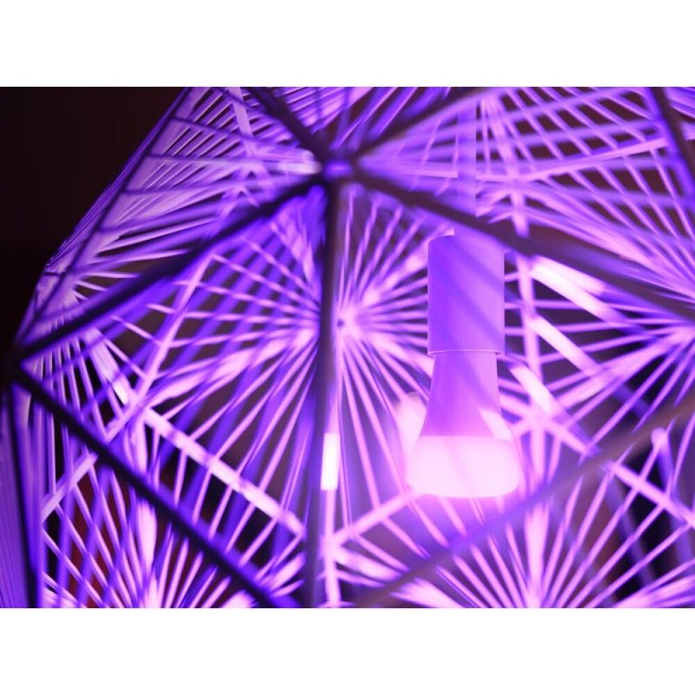 Startsett WCA 2xE27 með brú og rofa Philips Hue