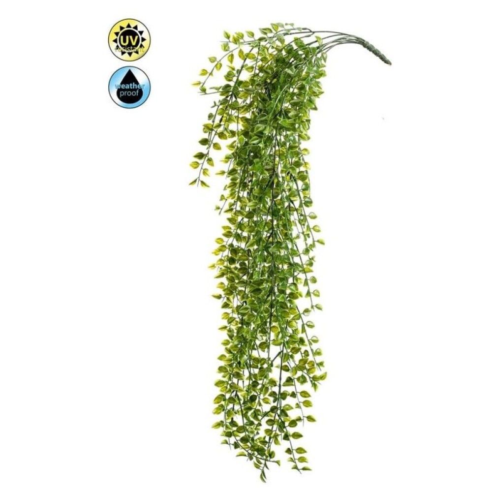 Gerviplanta hengi Emerald 80cm