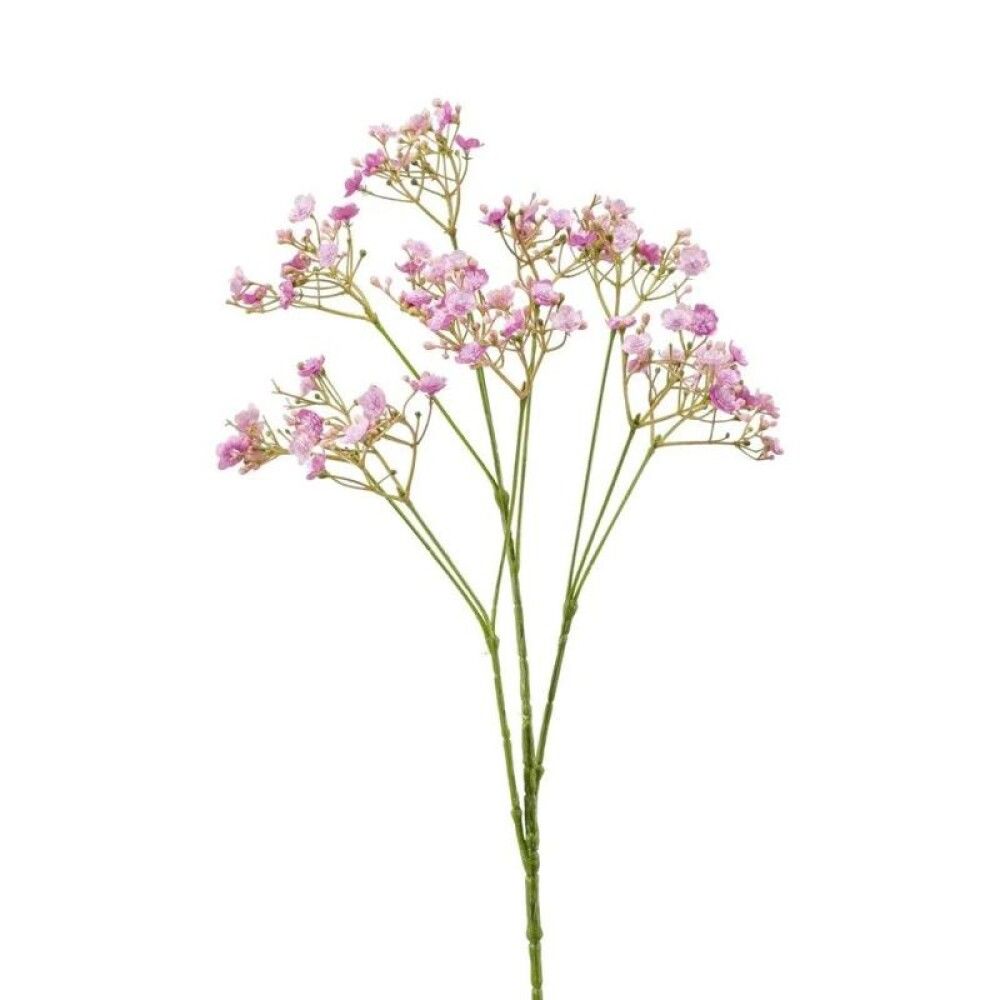Gerviplanta Blæjublóm Gypsophila fjólublá 68cm