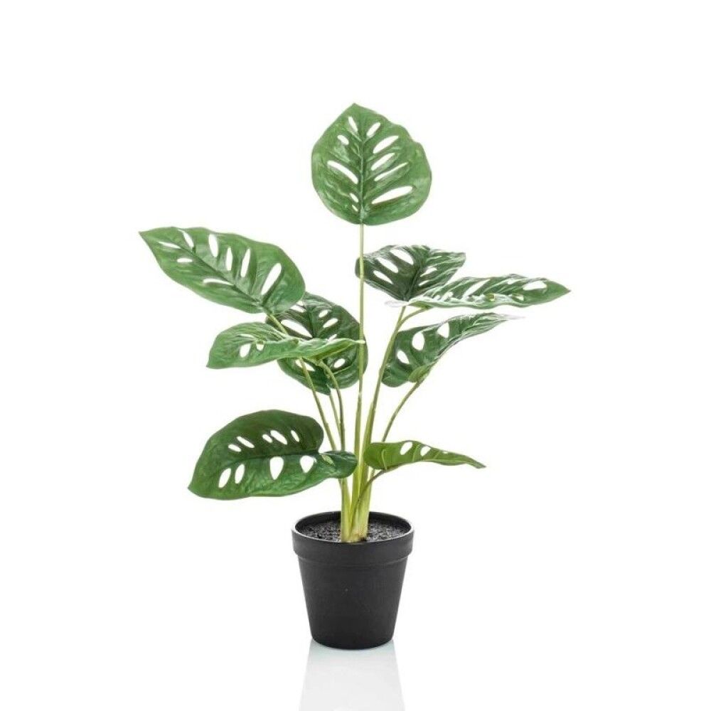 Gerviplanta Monstera monkey bush Emerald 43cm