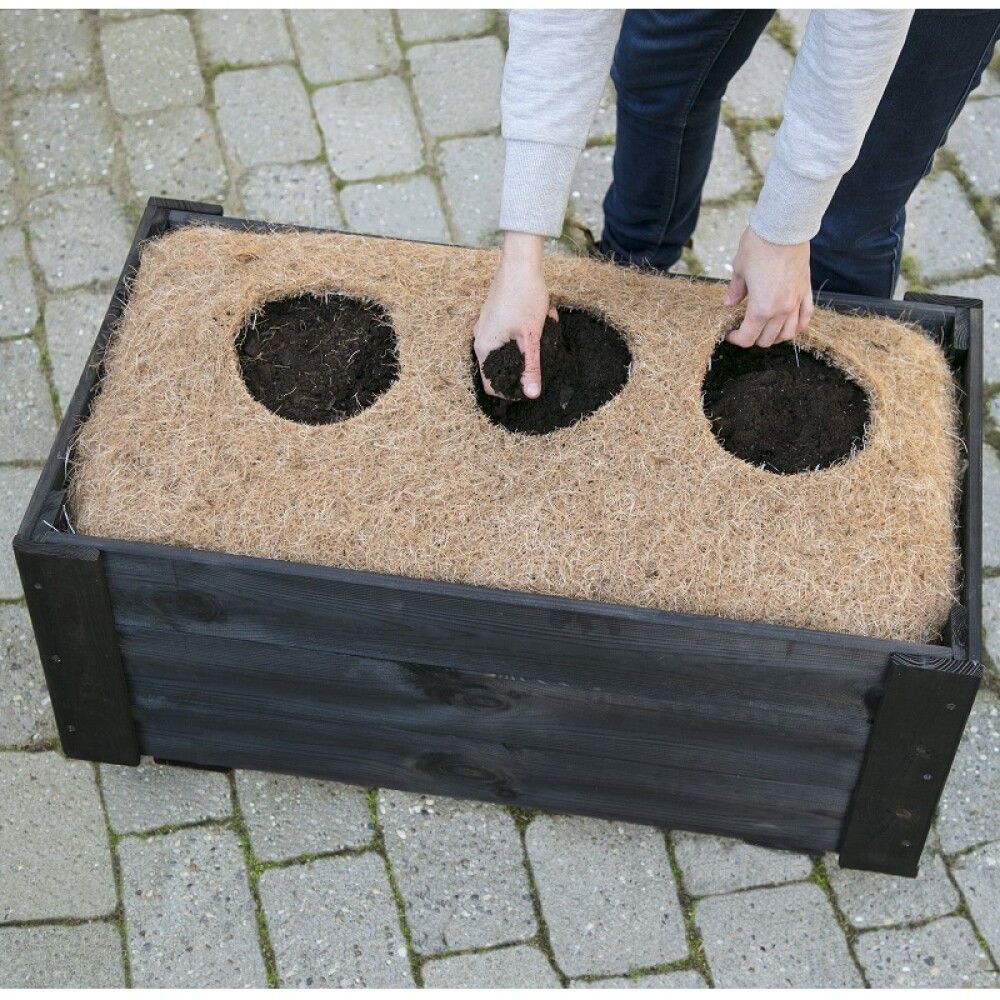 Kókosmotta 90x50cm Pindstrup