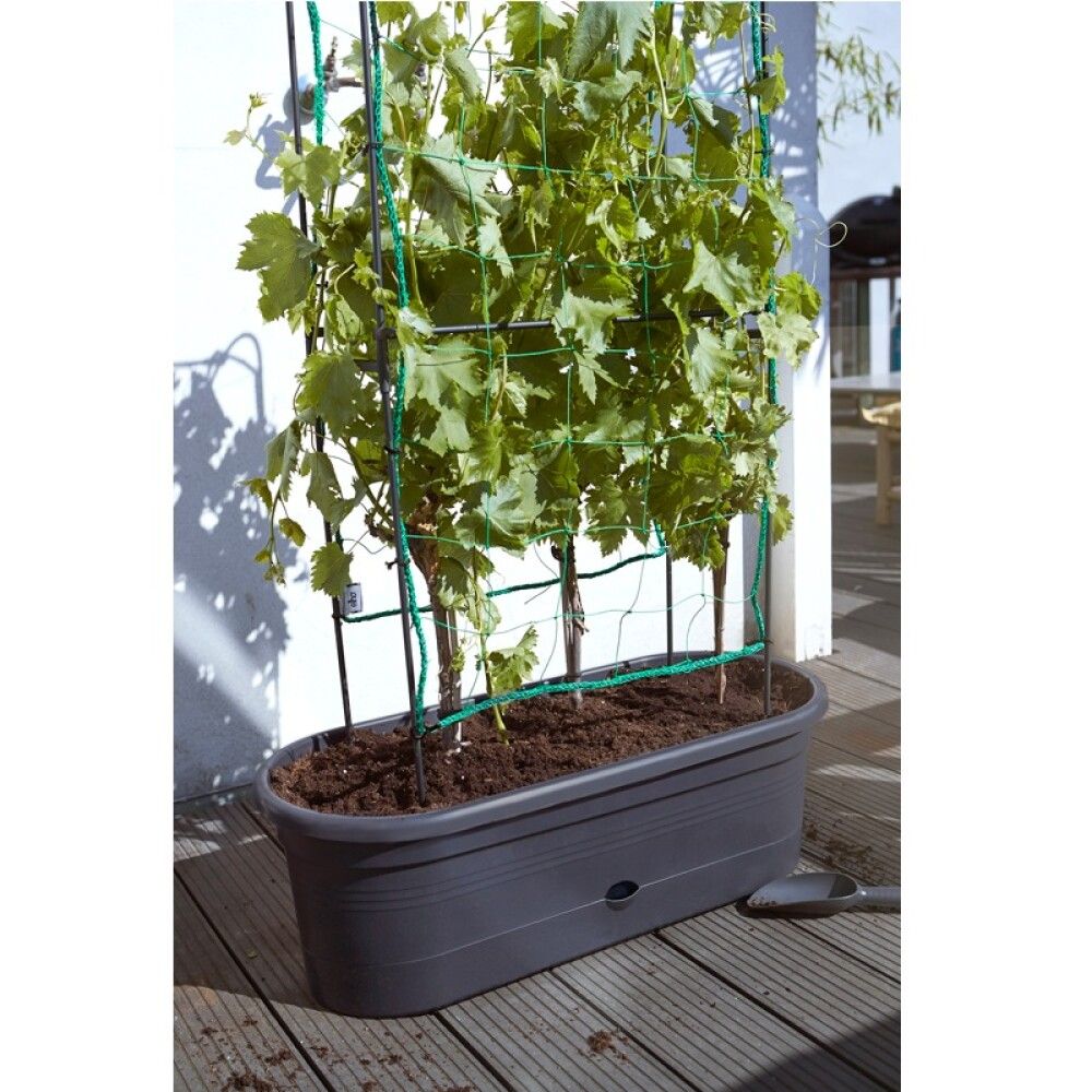 Gróðurkassi 80cm Elho