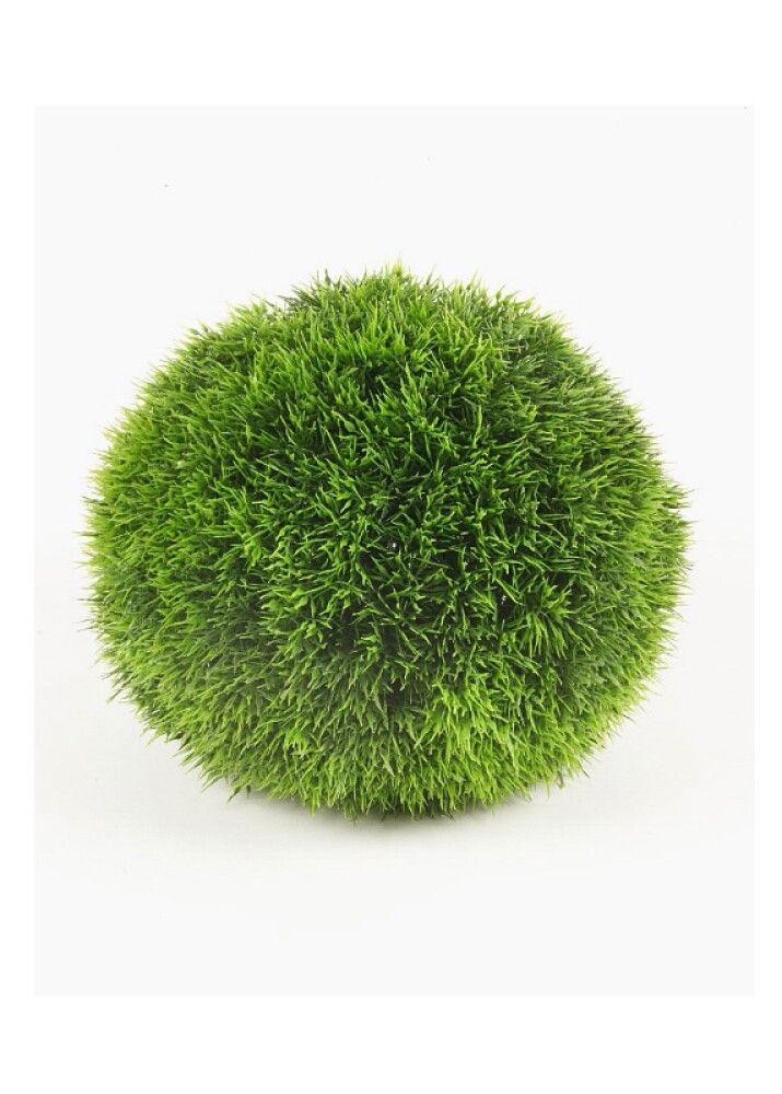 Gerviplanta graskúla Emerald Ø23cm