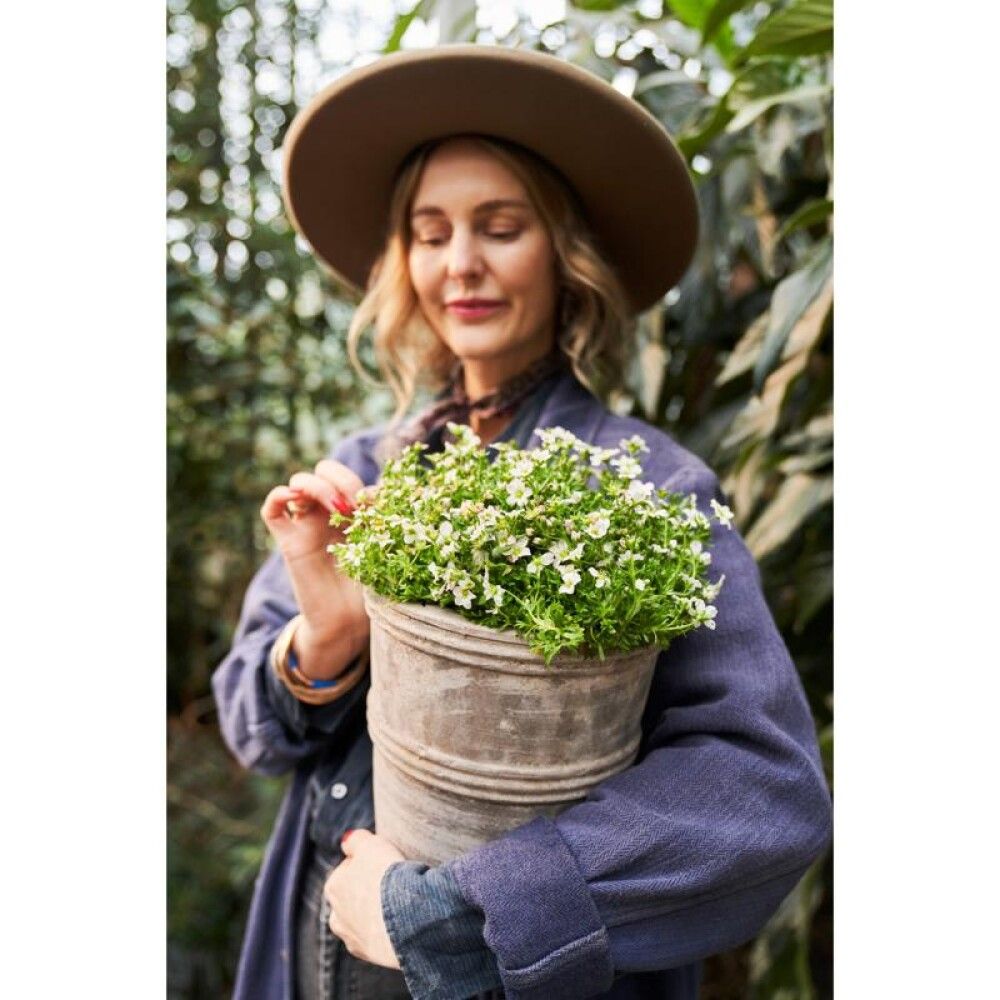 Blómapottur Yuka antík 22x25cm Lauvring