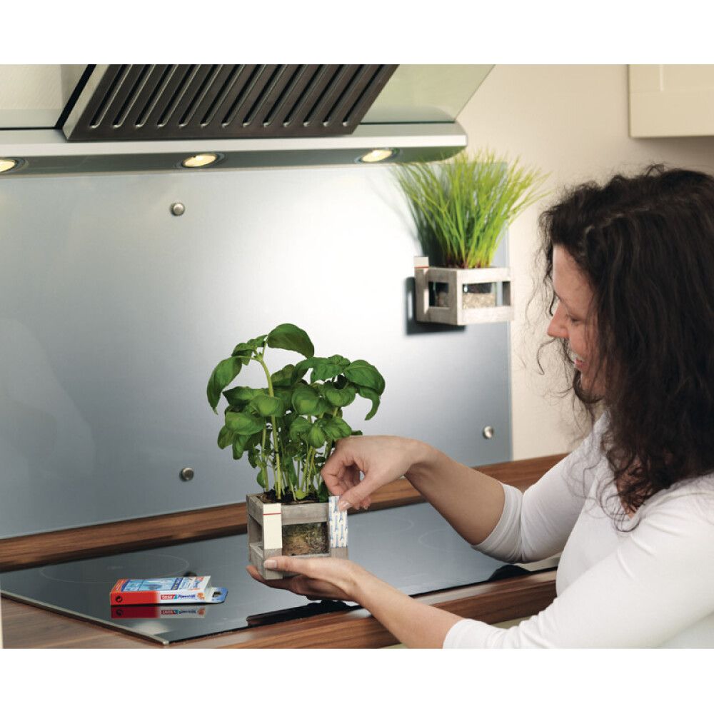 Tvíhliða límband 2kg Tesa Powerstrips L 10stk