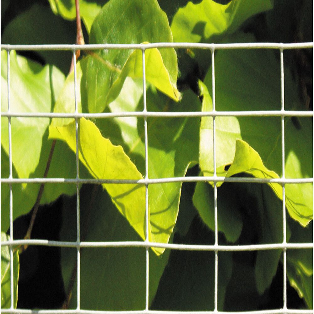 Músanet 6x6mm 100x12,5cm Hortus galv.