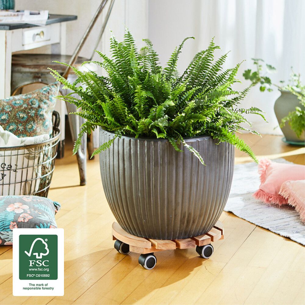 Rúllubretti multi 34cm 100kg birki