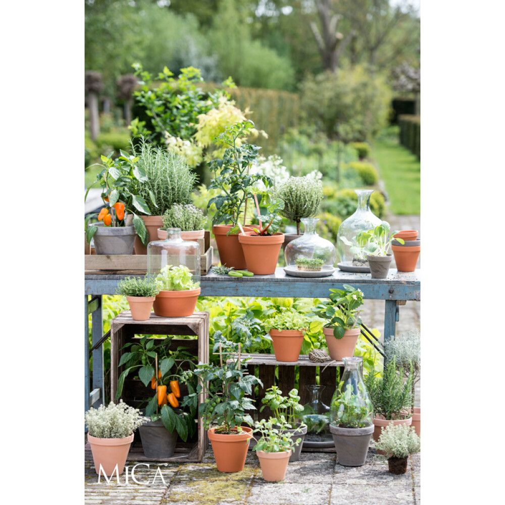 Blómapottur terracotta 16cm