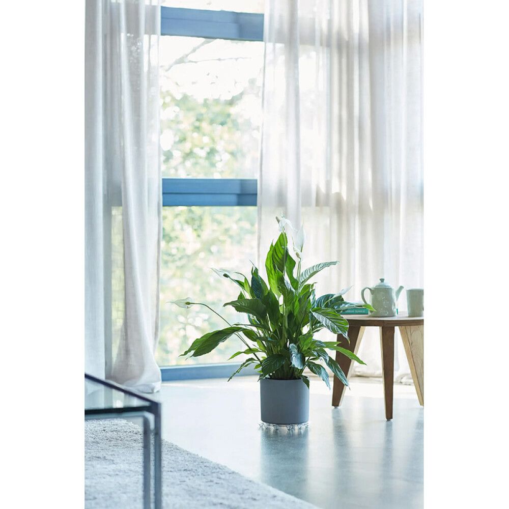 Gólfhlíf fyrir blómapott Ø25cm Elho glær