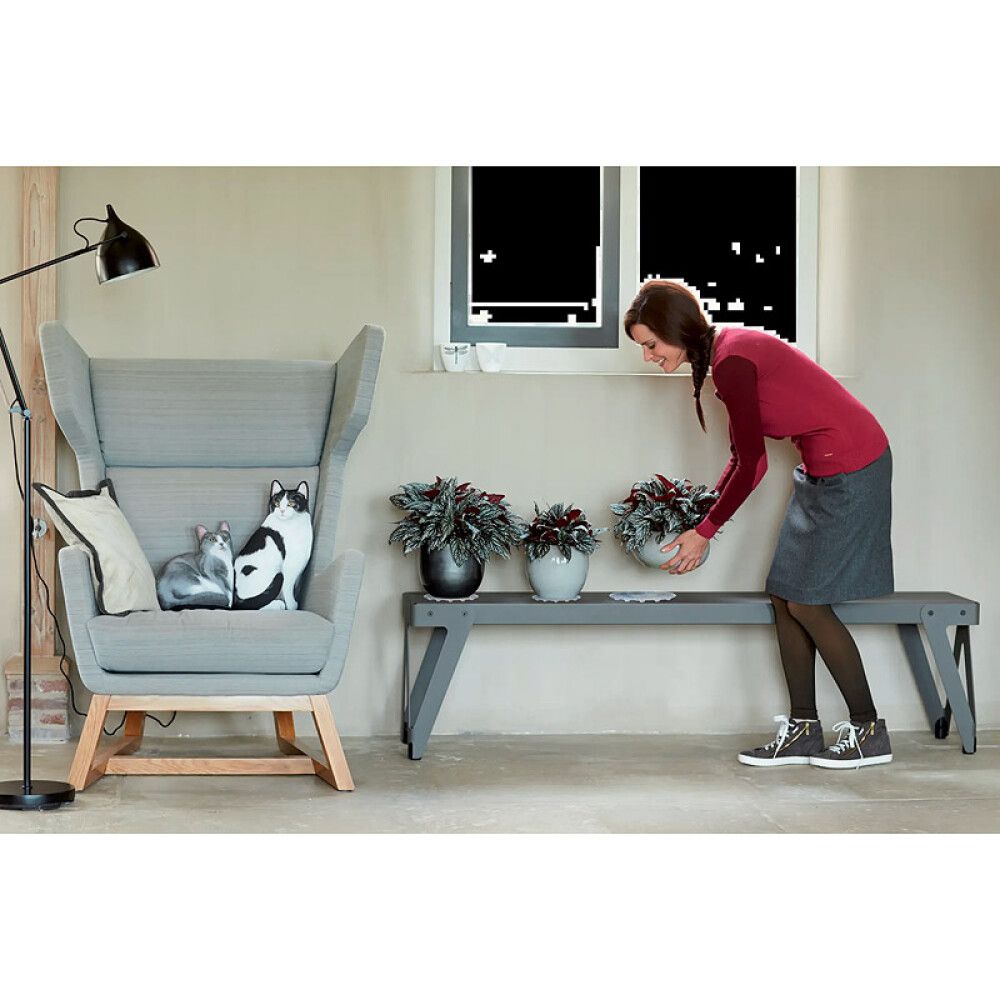 Gólfhlíf fyrir blómapott Ø25cm Elho glær