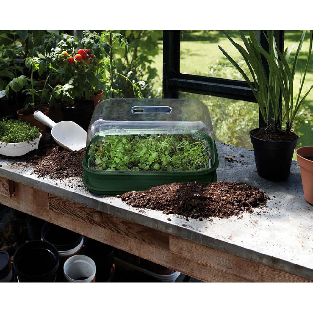 Gróðurbakki Green Basic Grow Tray M grænn