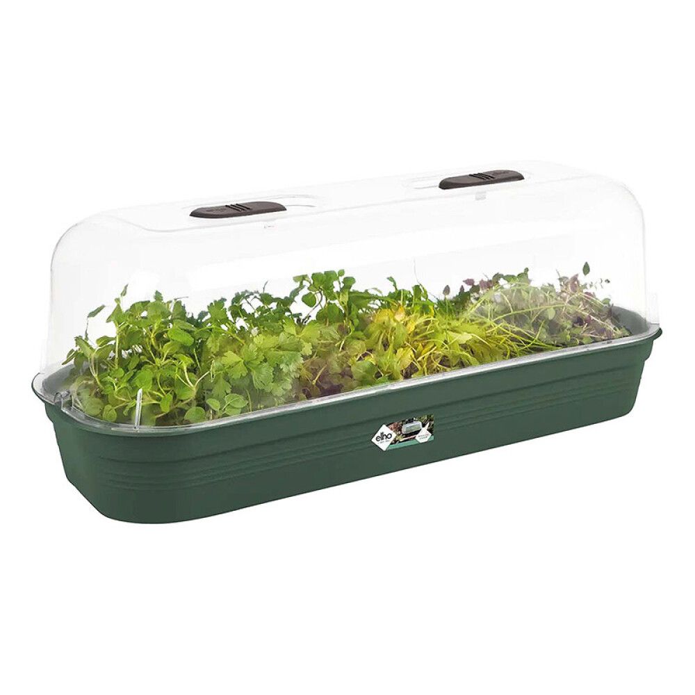 Gróðurbakki Green Basic Grow Tray L grænn