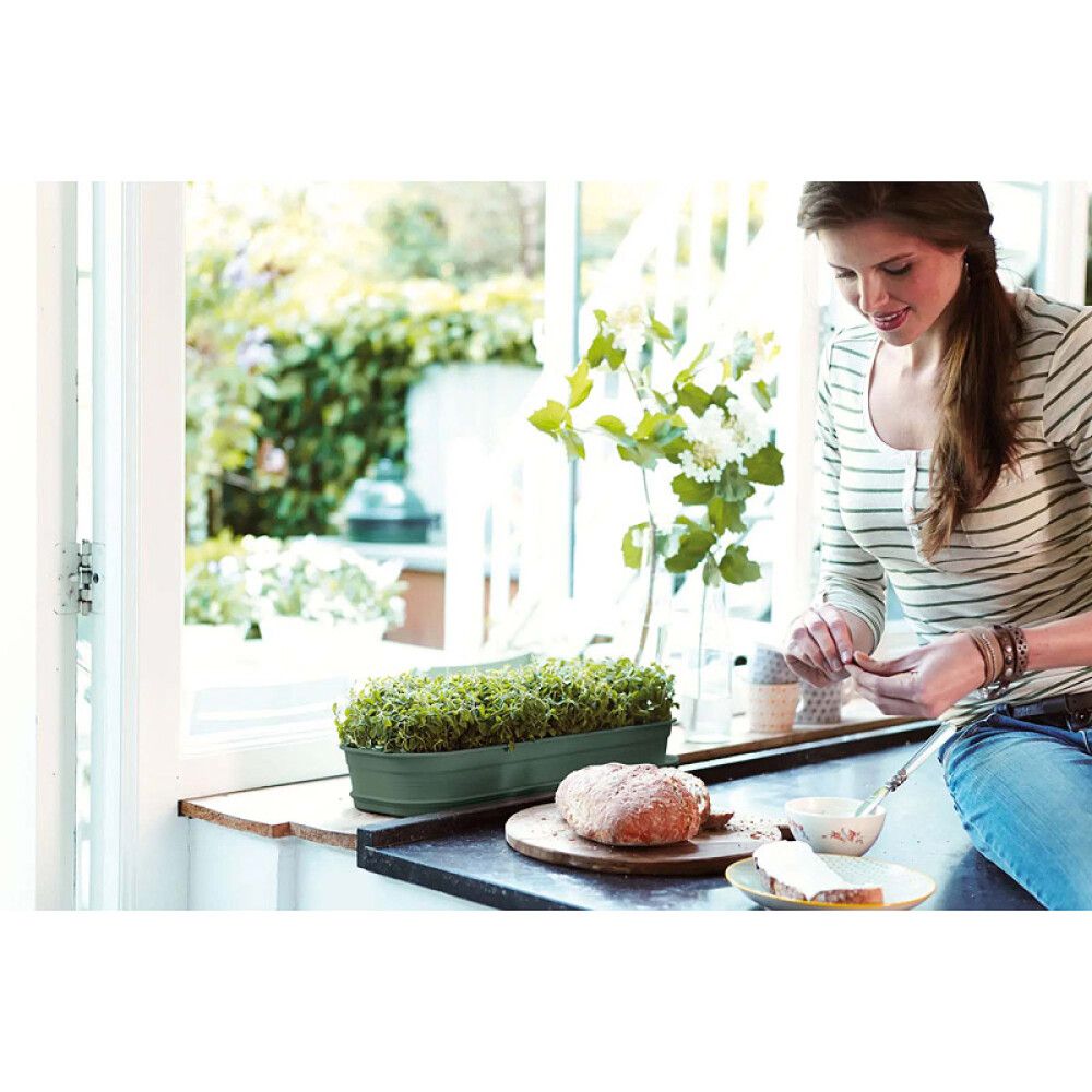 Gróðurbakki Green Basic Grow Tray L grænn