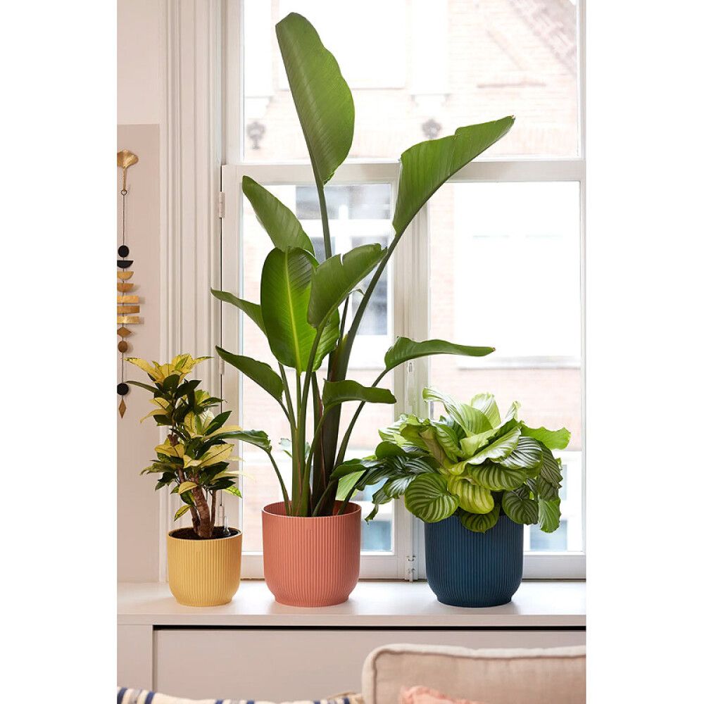 Blómapottur Vibes Fold Mini Ø18cm pink