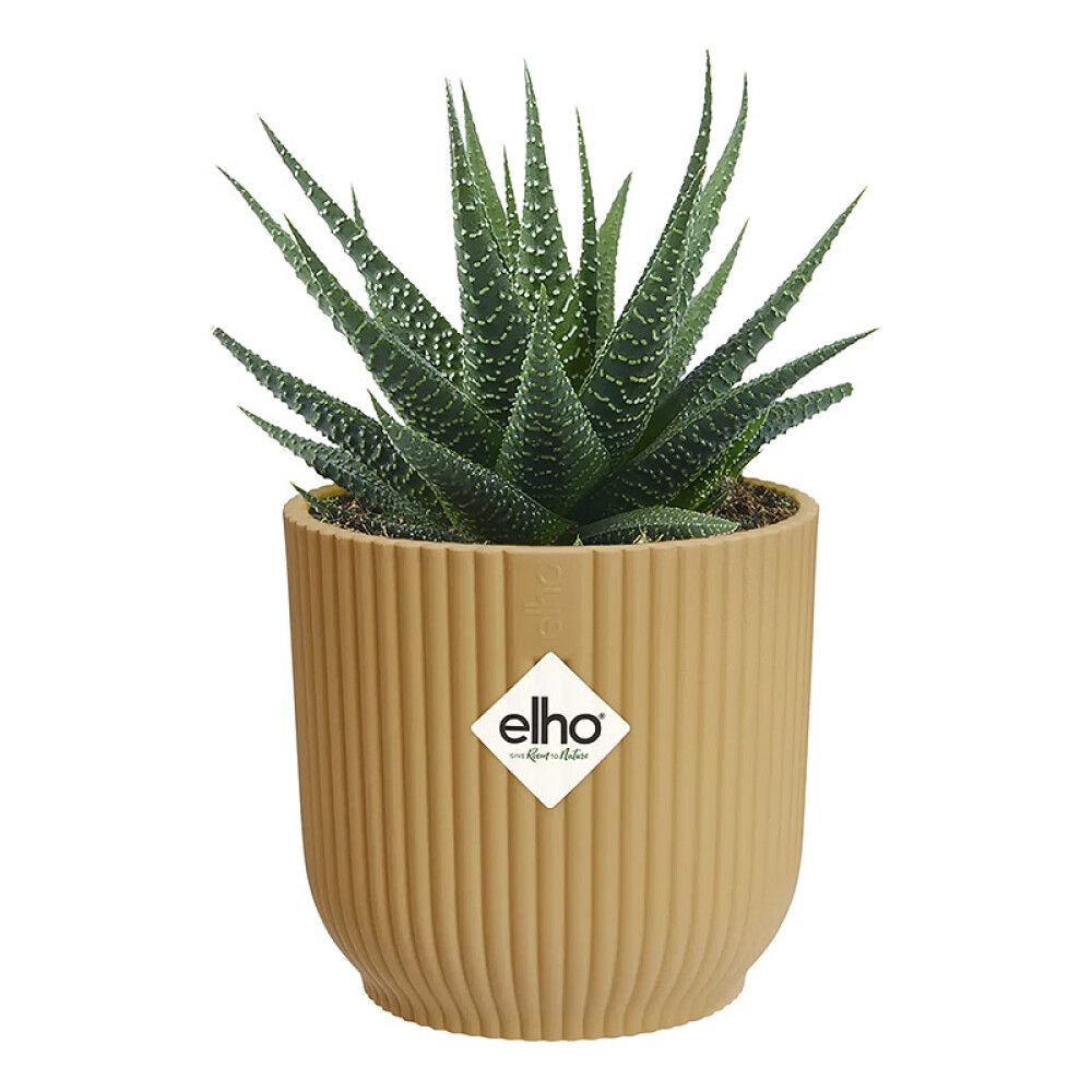 Blómapottur Vibes Fold Mini Ø7cm gulur