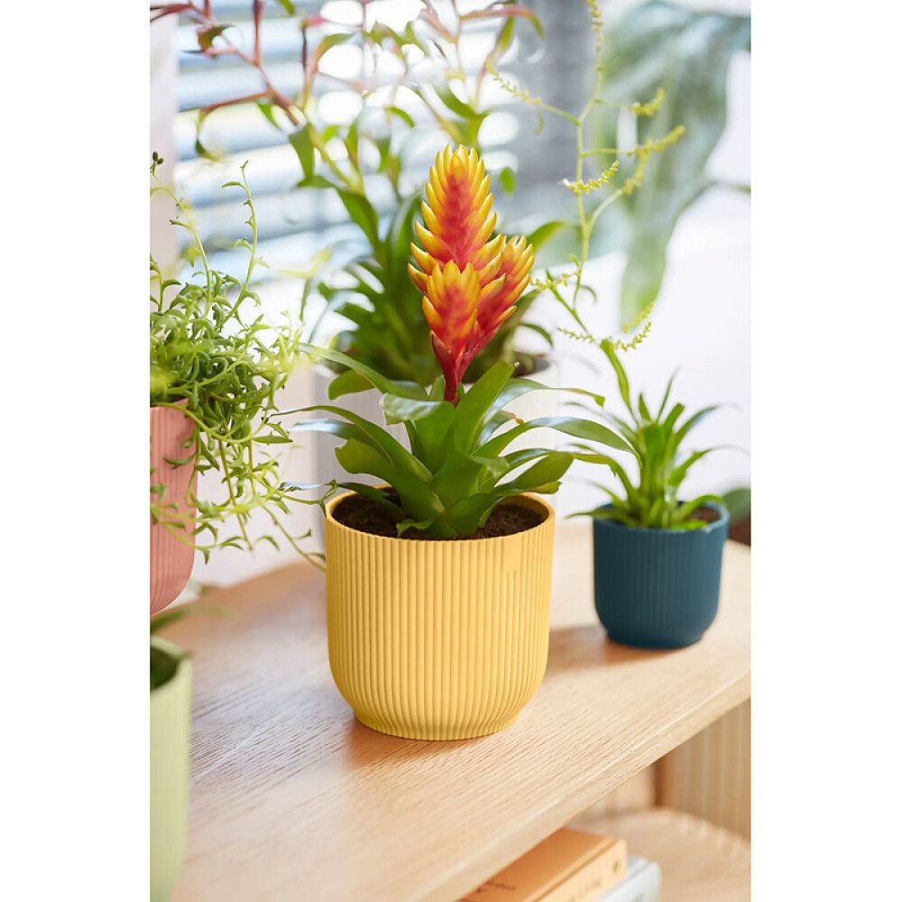 Blómapottur Vibes Fold Mini Ø11cm gulur