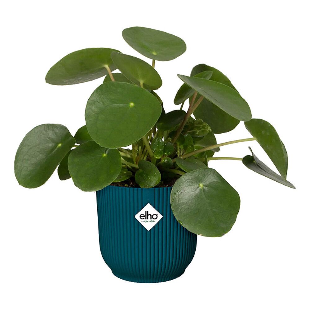 Blómapottur Vibes Fold Round Ø30cm dökkblár