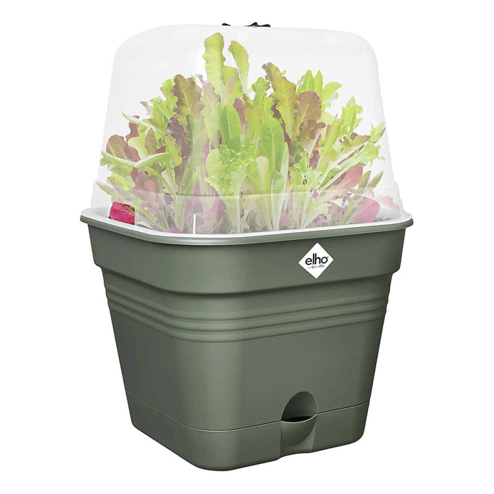 Gróðurbakki Green Basics 20cm grænn