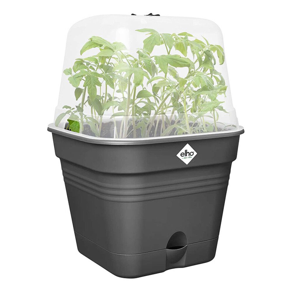 Gróðurbakki Green Basics 20cm svartur