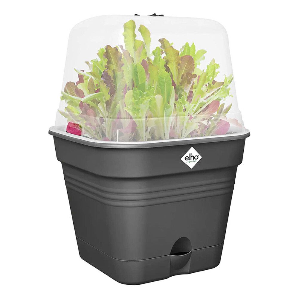 Gróðurbakki Green Basics 30cm svartur