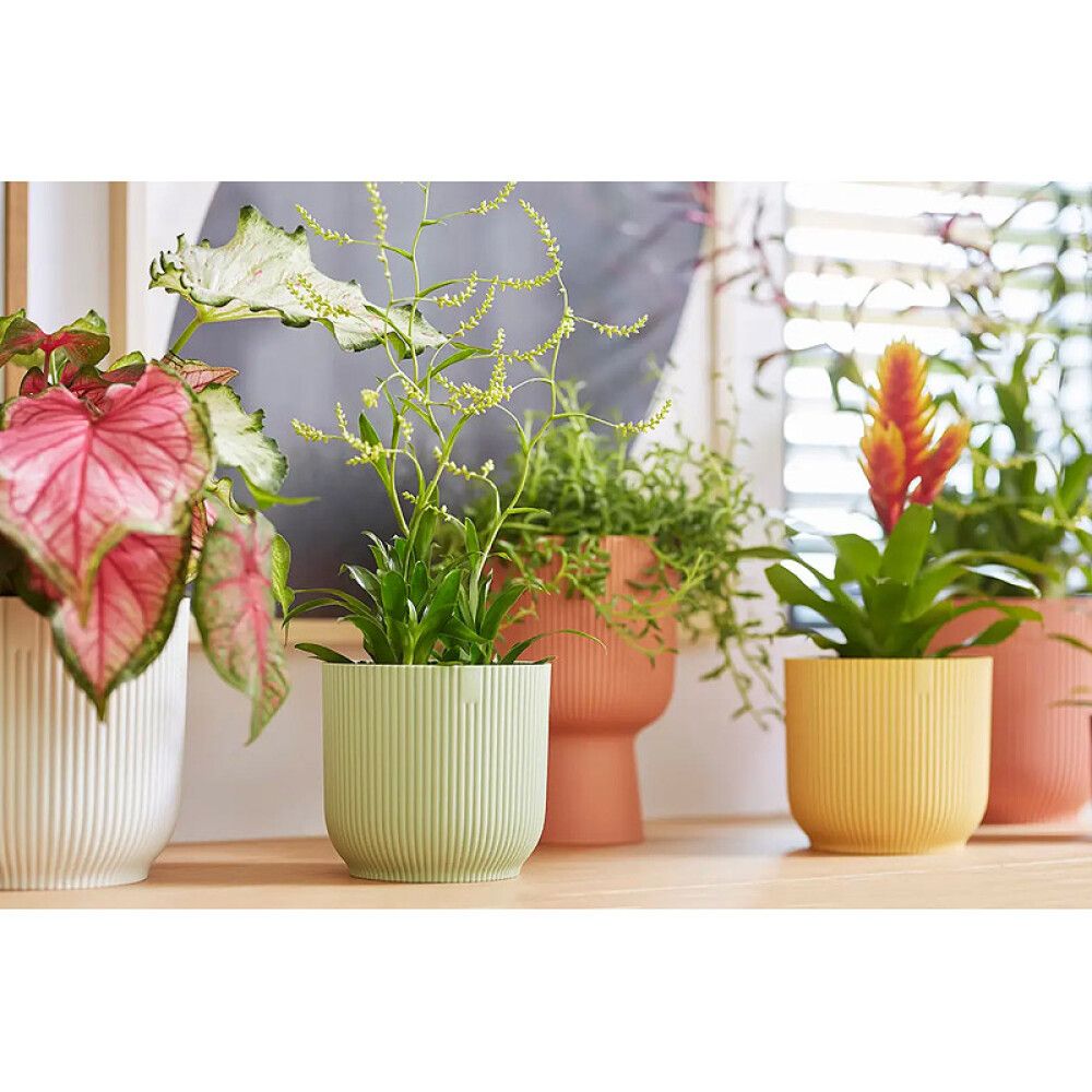 Blómapottur Vibes Fold Round Ø14cm minta