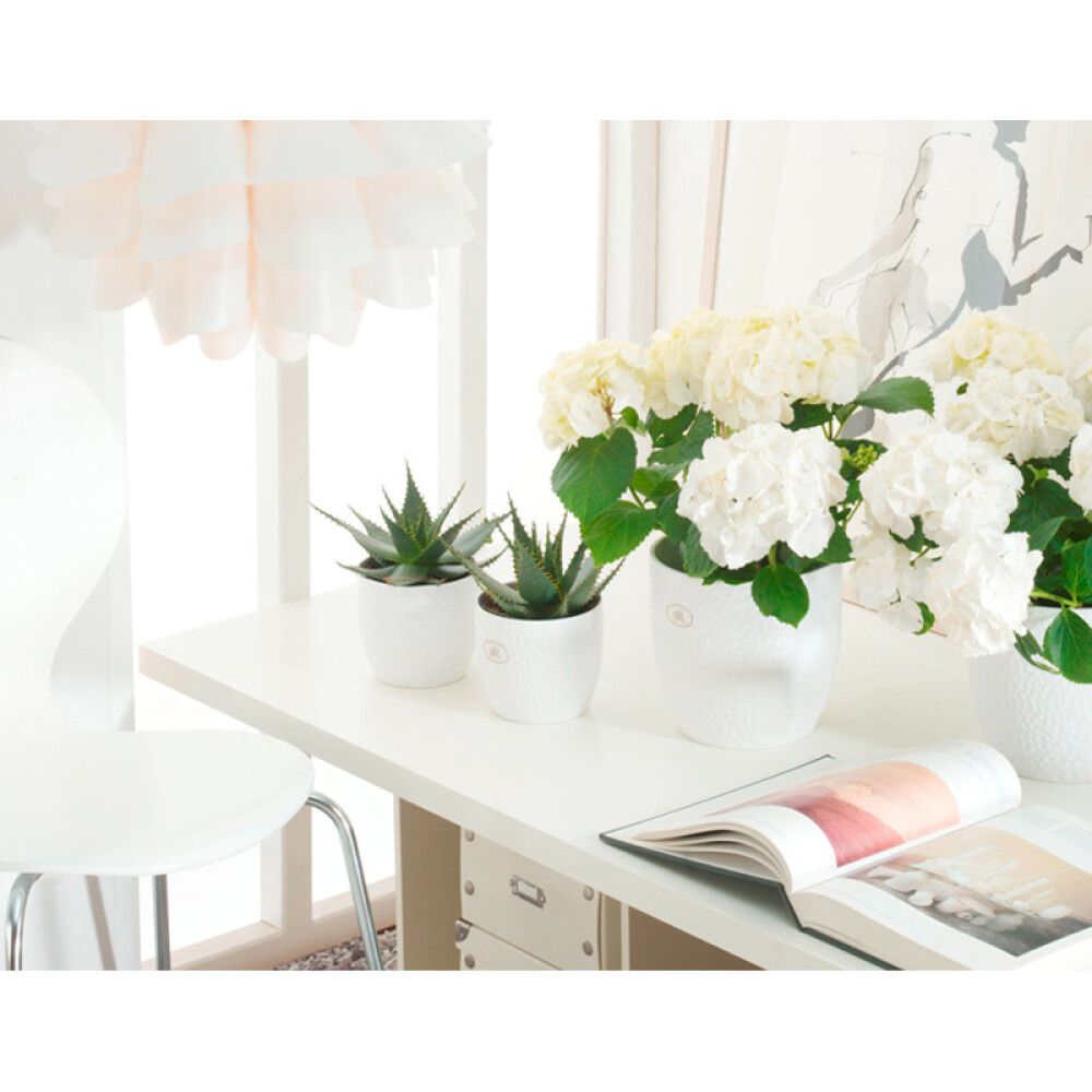 Blómapottur Boston Ø16cm hvítur