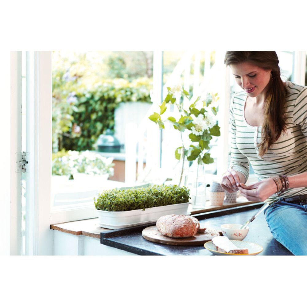 Undirskál fyrir gróðurbakka Green Basics L Elho svartur