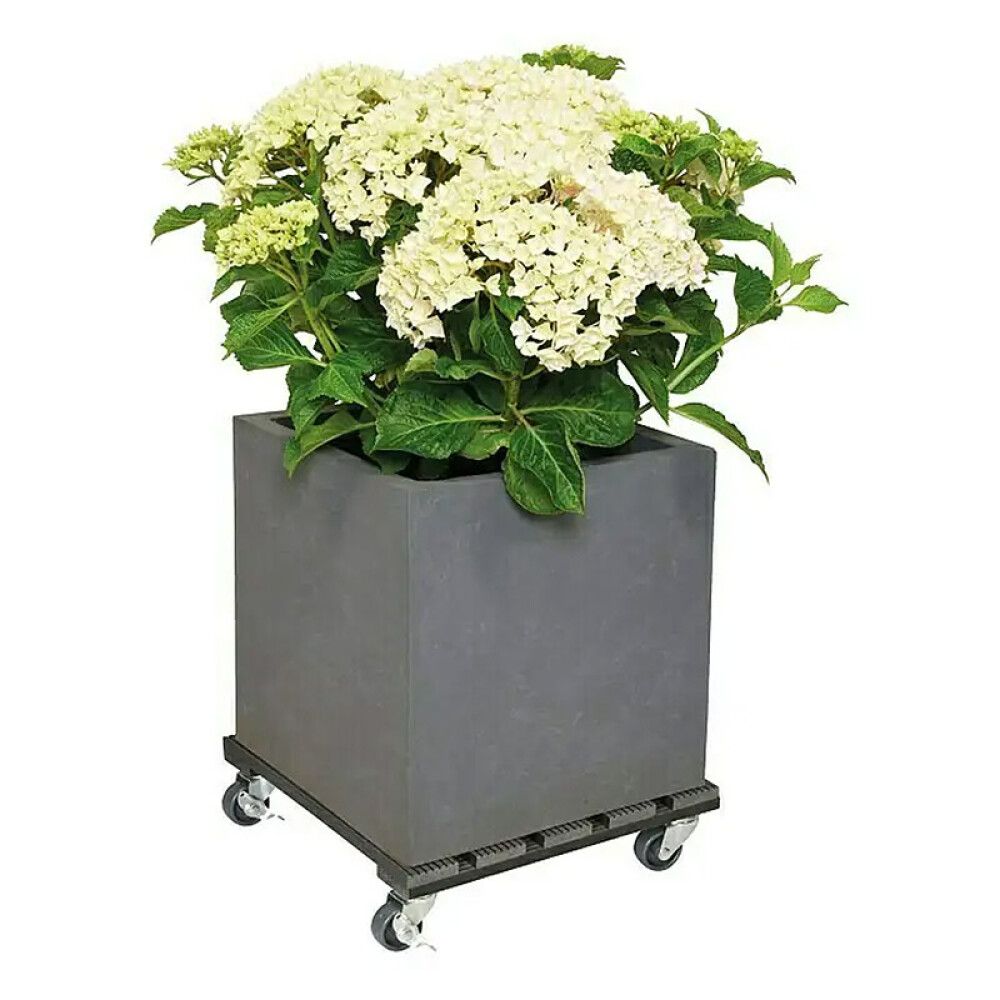 Rúllubretti multi 29cm 80kg harðplast