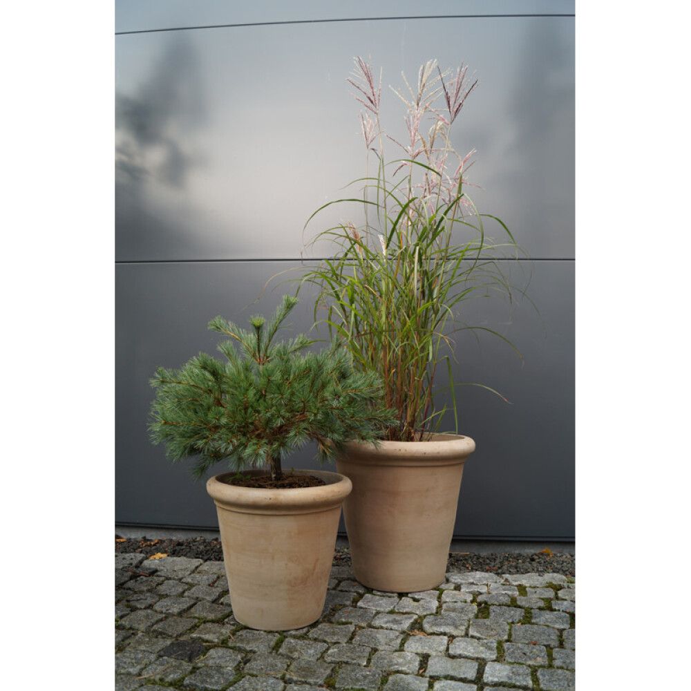 Blómapottur Straight brúnn Ø40cm Lauvring