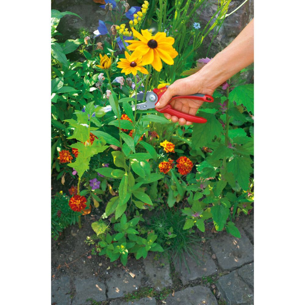 Greinaklippur RS2500 Basic Plus Wolf-Garten