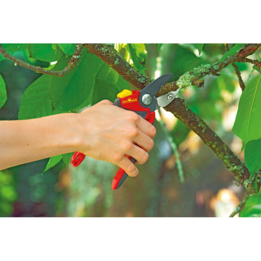 Greinaklippur 25mm Wolff Garten RS4000