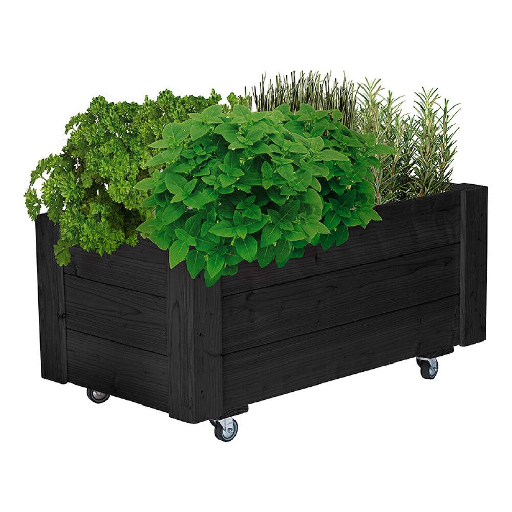 Gróðurkassi á hjólum Maxiflex Pindstrup svartur