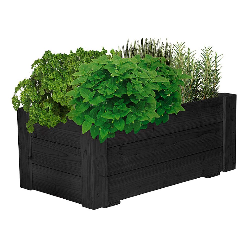 Gróðurkassi Maxiflex Pindstrup svartur