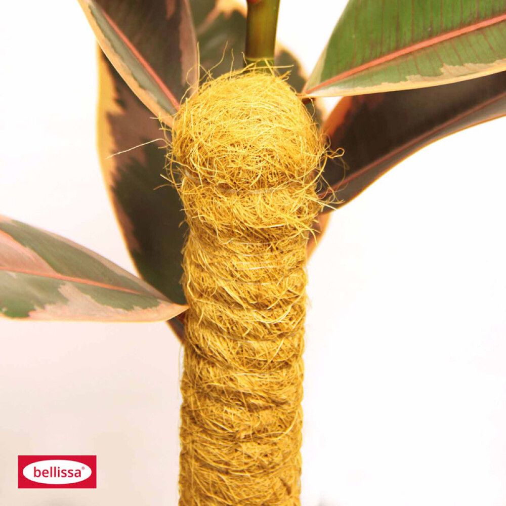 Kókosprik 110cm Ø45mm Bellissa