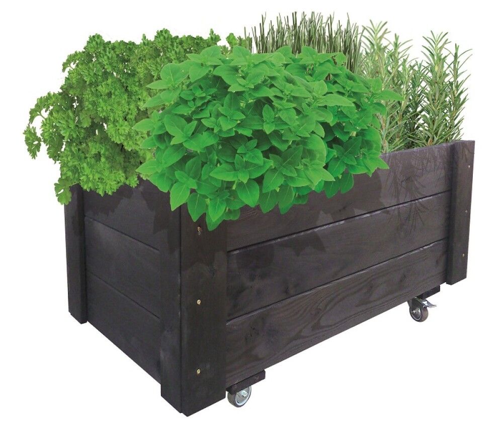 Gróðurkassi á hjólum Maxiflex Pindstrup svartur