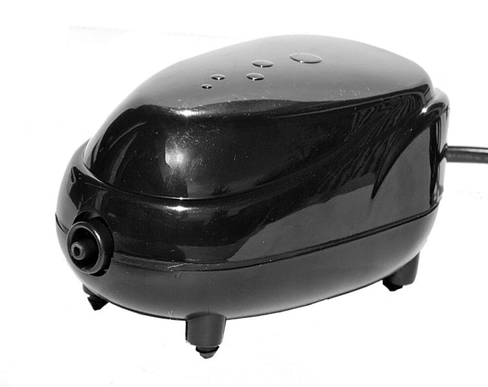 Loftdæla fyrir tjörn AN108