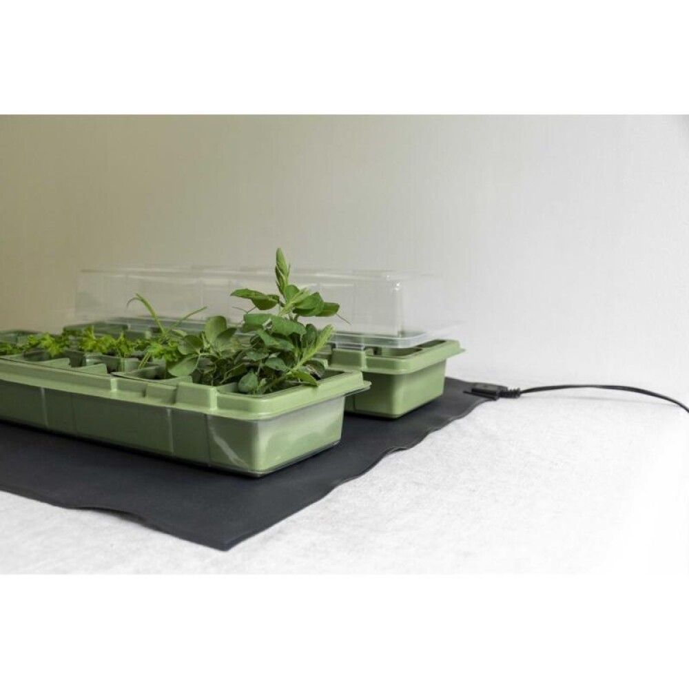 Hitamotta Weibulls L 53x51cm