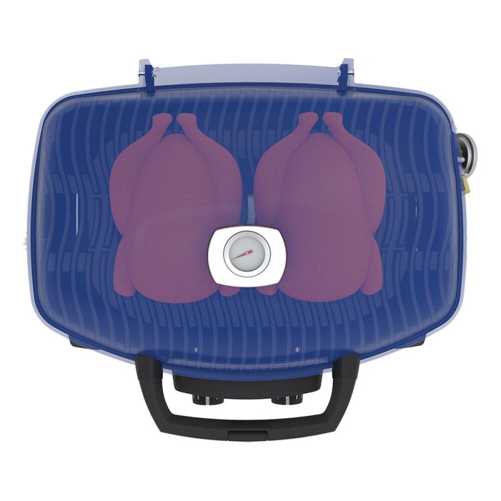 Gasgrill Travelq 285 Napoleon ferðagrill 1 brennari