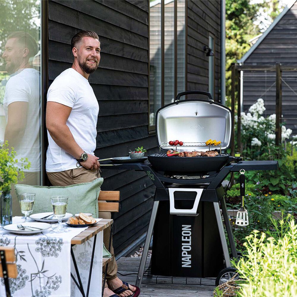 Vagn TravelQ Napoleon