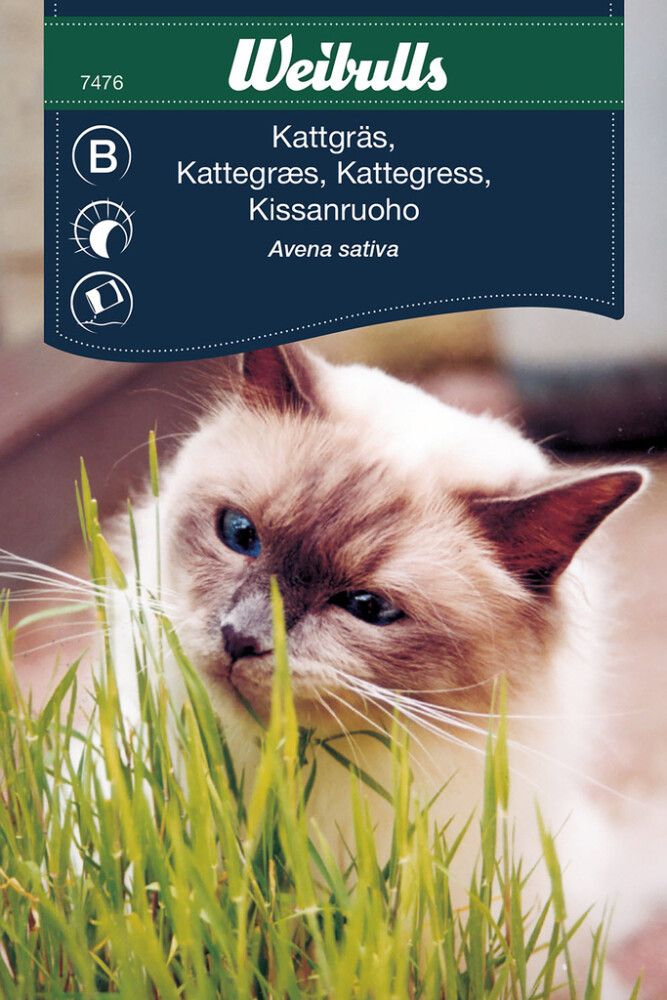 Grasfræ kattagras Weibulls