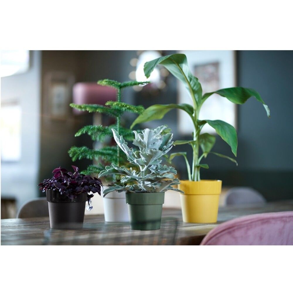 Blómapottur B.for Orginal Ø16 cm Elho svartur