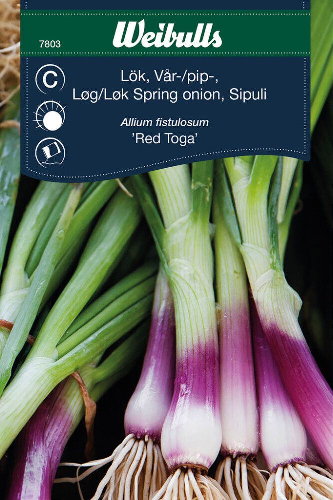 Grænmetisfræ vorlaukur Red Toga Wibulls