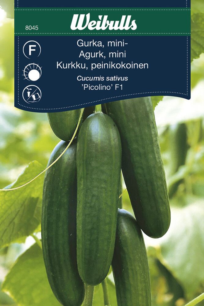 Grænmetisfræ agúrka Snack Picolino Weibulls