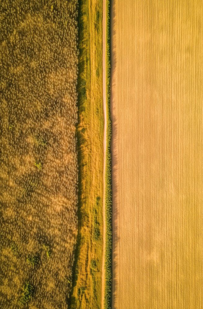 Hljóðvistarmynd landslag gult 800x1220x20 mm InEx