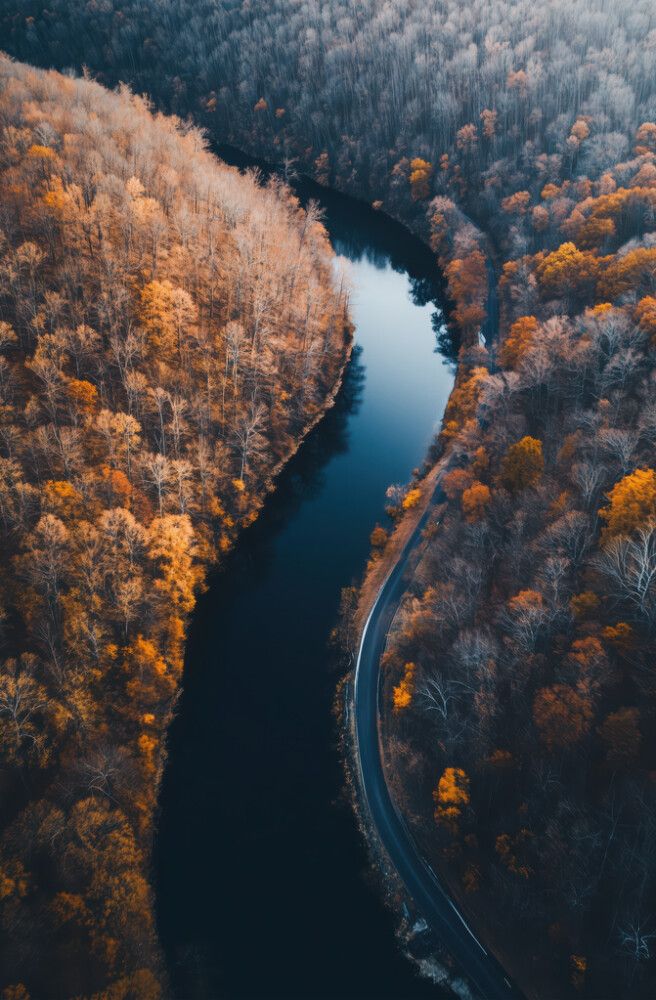 Hljóðvistarmynd landslag á og skógur 800x1220x20 mm InEx