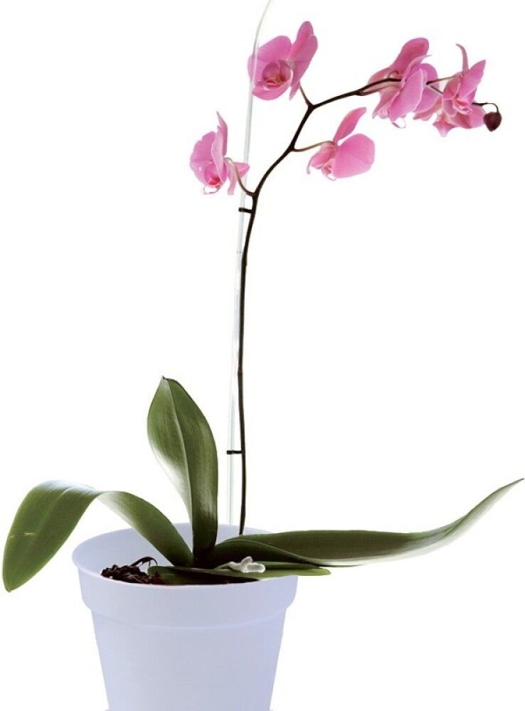 Orkideupottur Green Basics Orchid Ø17cm matt hvítur