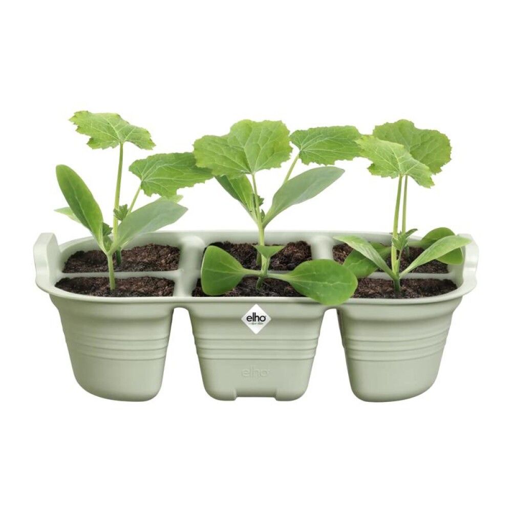 Sáðbakki Green Basics Grow 22 cm Elho