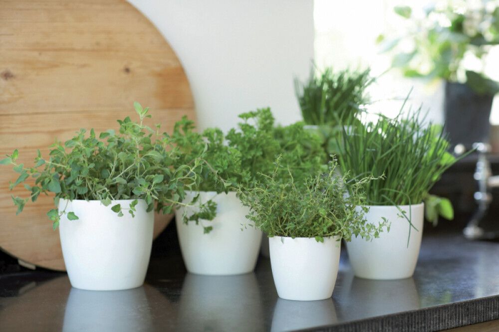 Blómapottur Brussels Ø14cm Elho hvítur